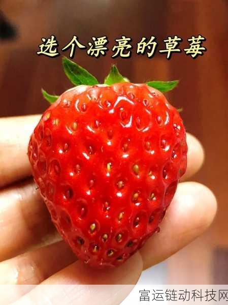 旧草莓无线观看:1. 旧草莓无线观看:追忆青春的甜美时光