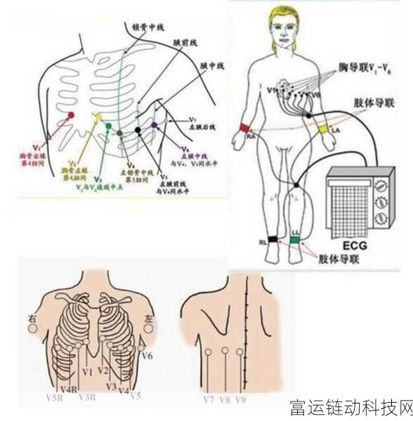 手游玩家必备！这款单导联手持心电监测器让健康游戏两不误
