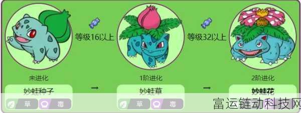 妙蛙花技能搭配深度解析,宝可梦大探险竞技必备攻略