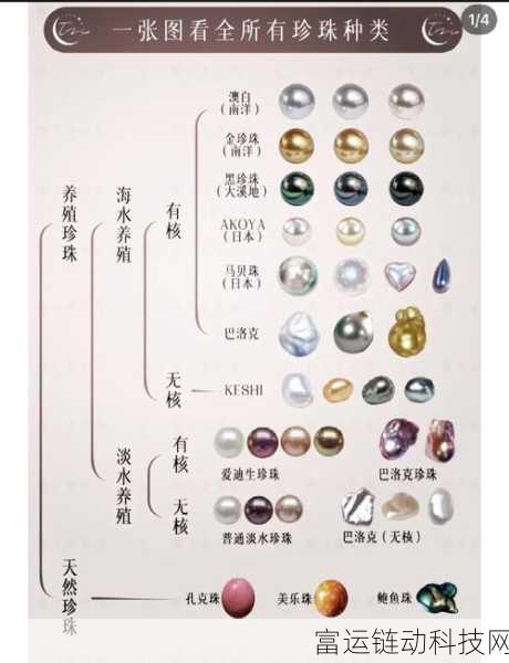 大千世界手游,七彩珍珠全攻略,珍稀道具解锁新篇章