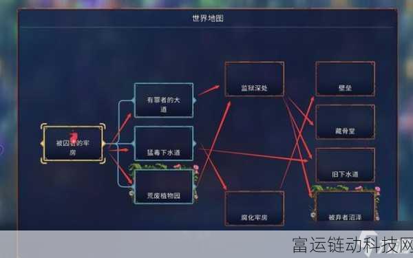 探索重生细胞,疏离图纸神秘作用大揭秘