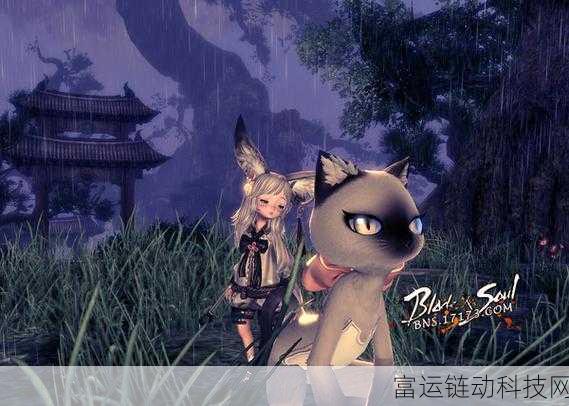 剑灵召唤师,从新手到满级的华丽蜕变之旅