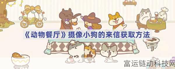 动物餐厅攻略揭秘,解锁摄像小狗来信的全攻略