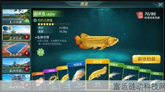 楚留香手游钓鱼大赛全攻略,掌握钓鱼技巧,赢取稀有奖励