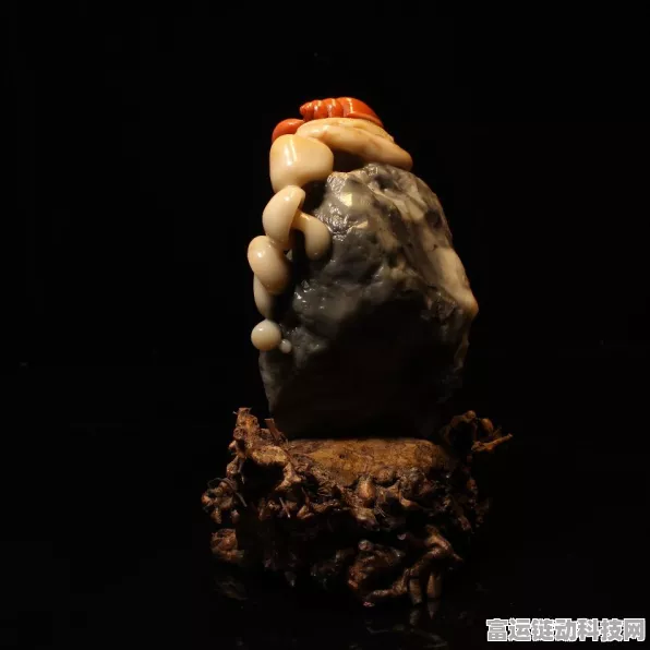 探秘最强蜗牛，变异蘑菇隐藏位置大公开，助你战力飙升！