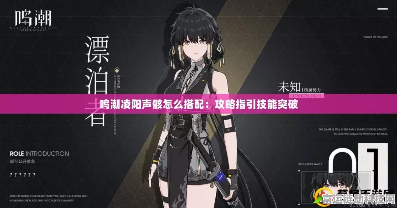 凌阳声骸完美搭配攻略，突破鸣潮战斗极限，解锁全新战斗体验