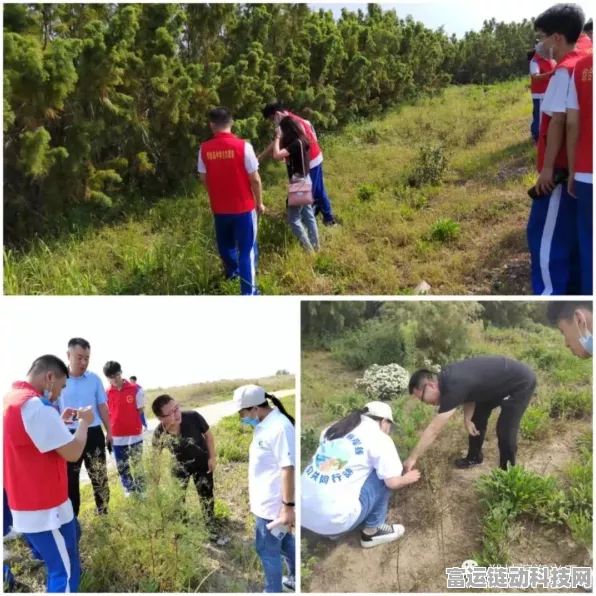 手游新纪元，边缘计算如何重塑游戏产业钱景？