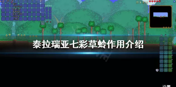 泰拉瑞亚攻略揭秘，光之女皇的召唤之道与战斗细节
