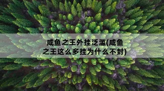咸鱼之王脚本使用风险揭秘，封号危机四伏？