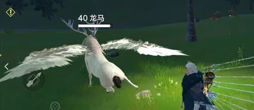 妄想山海，揭秘白马进化龙马的全攻略