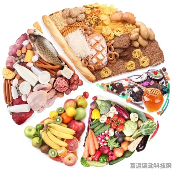 波西亚时光，解锁美食与家居秘籍，怪味浓汤与麻布地毯制作全攻略