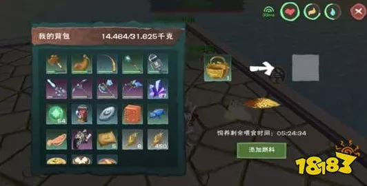 手游探索盛宴，揭秘创造与魔法南瓜位置全攻略及赛事细节