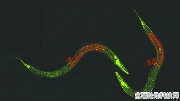 手游科技新突破，天宝高精度秀丽线虫仿真模型震撼登自然子刊