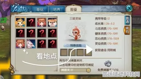探秘天谕手游苏澜城，猫狗萌宠隐藏位置大公开，赢取限定宠物称号！