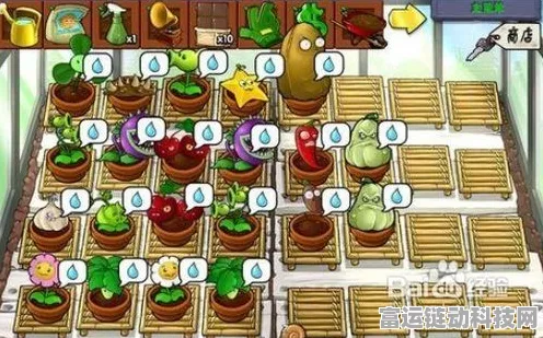 植物大战僵尸无尽模式花园最佳阵容 新手必看