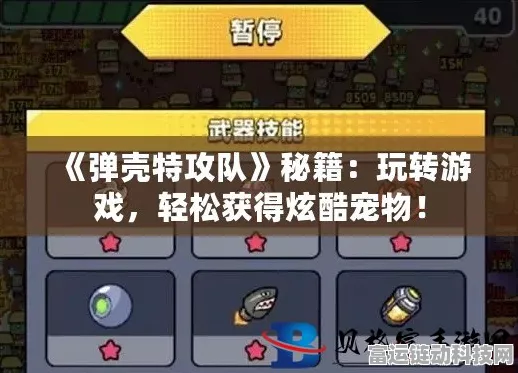 弹壳特攻队宠物养成攻略，揭秘高效刷取顶级宠物的秘诀
