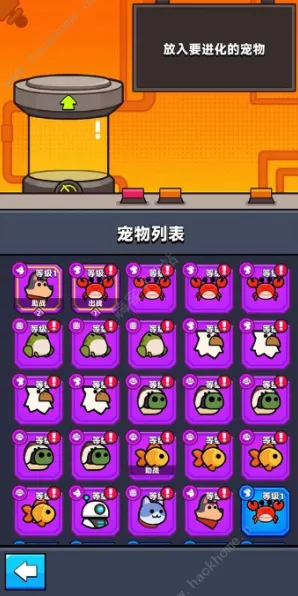 弹壳特攻队宠物养成攻略，揭秘高效刷取顶级宠物的秘诀