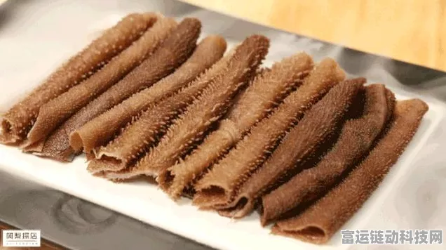手游攻略，食物语川味火锅阵容搭配全解析，打造顶级美食战队！