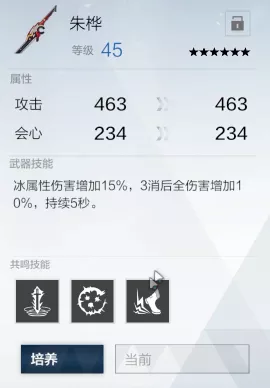 战双帕弥什顶尖攻略，揭秘冰露武器与意识搭配秘籍，助你征服高难副本！