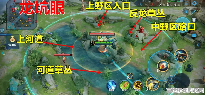 王者荣耀深度解析，草丛之眼奥秘揭秘，洞悉隐身与视野争夺战