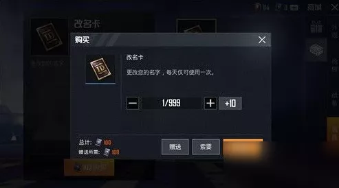 和平精英免费改名攻略，解锁个性化昵称新技巧！