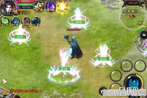 口袋奇兵多版本探秘，全面解析不同版本特色与玩法
