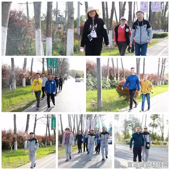 航海王燃烧意志，全面解析晋升勋章获取策略，角色战力飞速提升秘籍