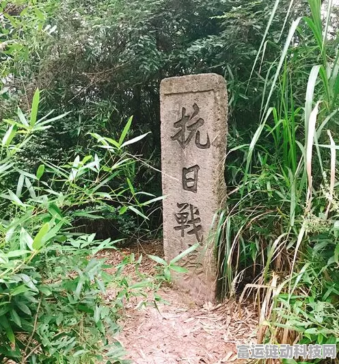 手游攻略大揭秘，如鸢琅琊据点重建全解析，速通新挑战高效路线