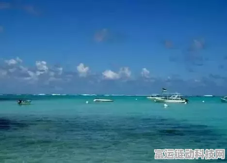摩尔庄园手游，神秘湖BUG大揭秘，独家攻略助你钓取稀有四星玫瑰海星