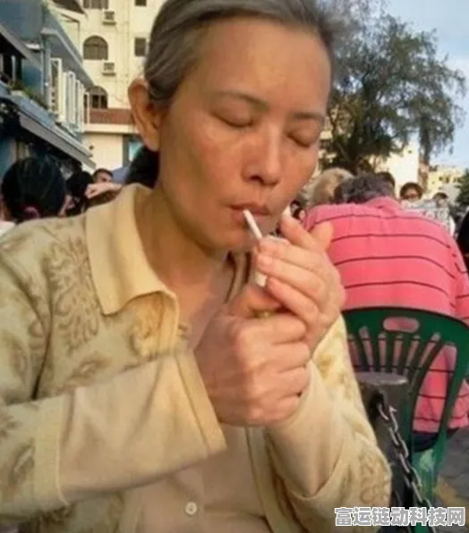 大话西游手游深度解析，月光宝盒的神奇功效与实战应用