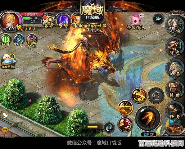 魔域口袋版12月职业觉醒爆料，历史新篇章，觉醒技能与赛事猜想