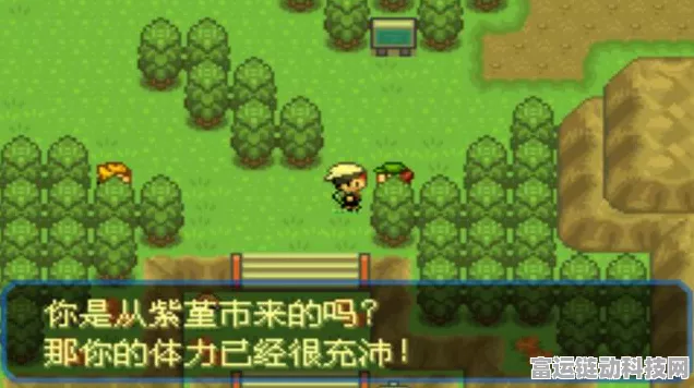 口袋妖怪究极绿宝石小智版，Z晶石的终极使用攻略