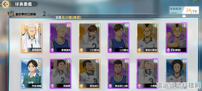 排球少年手游，解锁潜能，打造顶尖套装搭配策略
