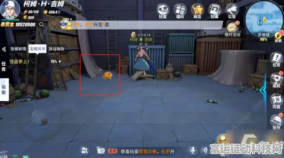 航海王热血航线，揭秘三朵蓝白花朵聚会地点与隐藏任务攻略