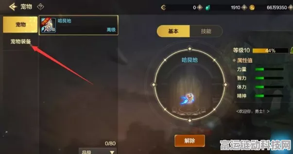 DNF手游宠物系统深度解析，解锁宠物与装备秘籍，白嫖党必看攻略