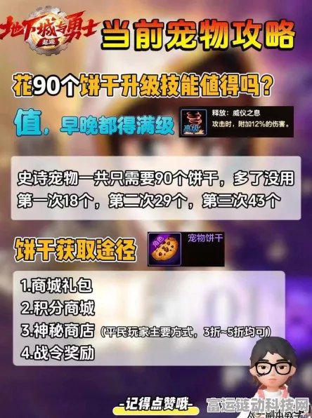 DNF手游宠物系统深度解析，解锁宠物与装备秘籍，白嫖党必看攻略