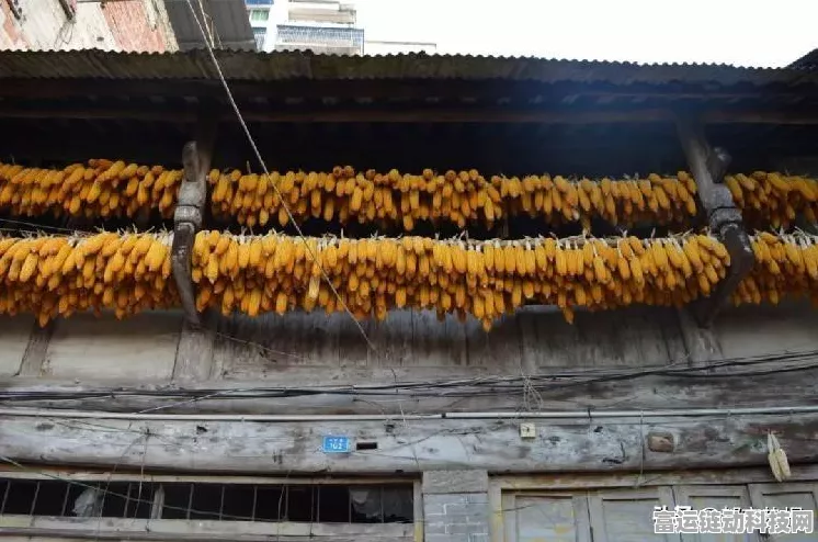 手游资讯，无限暖暖资源秘境全揭秘，高效采集点位与技巧大放送