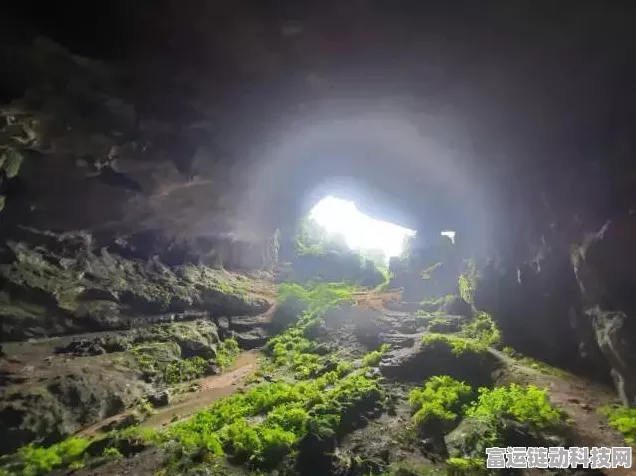 探秘光遇，雨林深处神秘山洞位置全解析及寻宝攻略