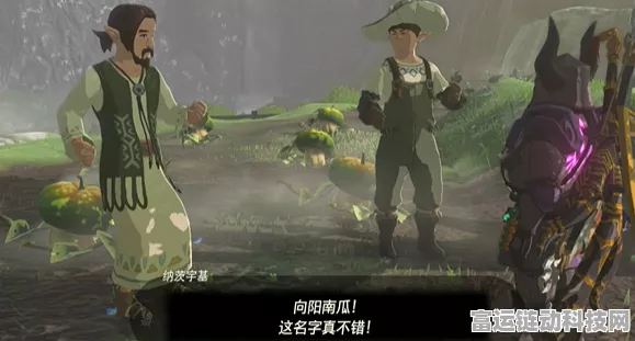 塞尔达传说王国之泪，揭秘向阳南瓜的高效获取攻略