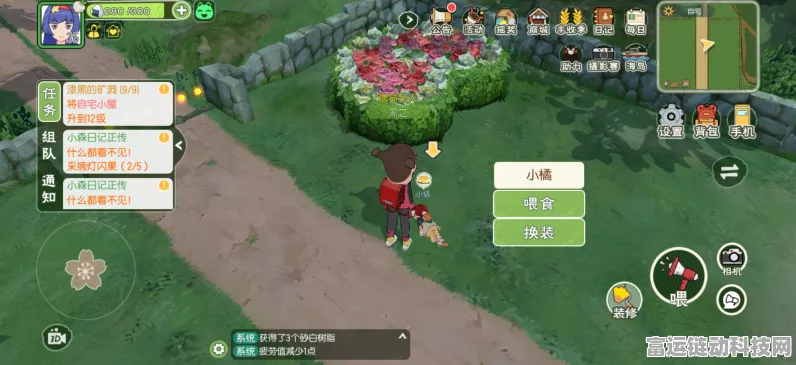 小森生活，揭秘亲密度飙升的绝密技巧
