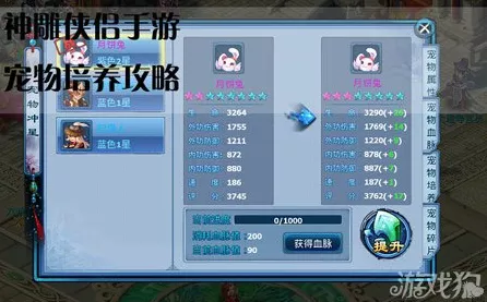 神雕侠侣手游宠物攻略，顶尖宠物推荐，助你称霸江湖