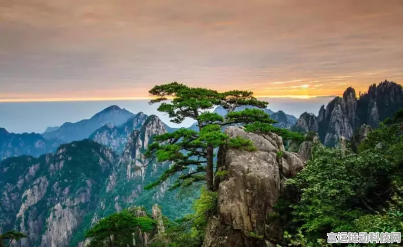和平精英，火箭发射点全揭秘与制胜攻略，助你决战海岛之巅