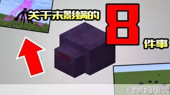 我的世界末影螨养成攻略，解锁神秘生物的秘密