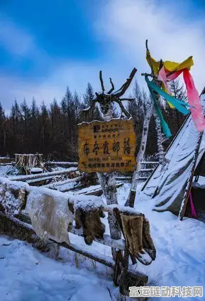 怪物猎人崛起，营地全解锁秘籍大公开，助你狩猎之旅畅通无阻