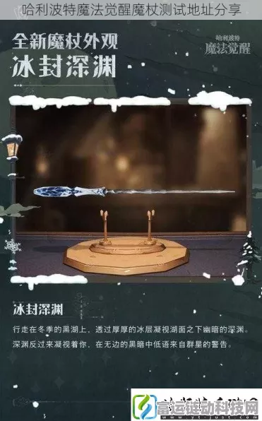 哈利波特魔法觉醒，2024年10月豪华礼盒揭秘，限定魔杖与稀有宠物等你拿！