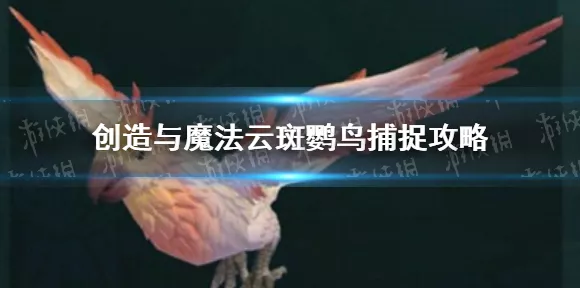 手游热门话题，创造与魔法云斑鹦鸟饲料喂养全攻略