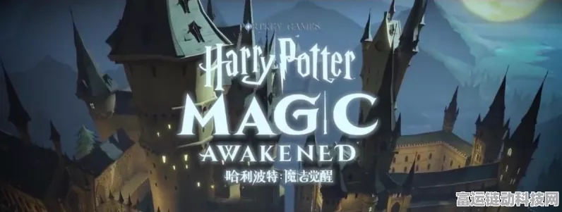 炉石传说，揭秘动物园灵魂之火获取攻略，助你竞技场称霸！