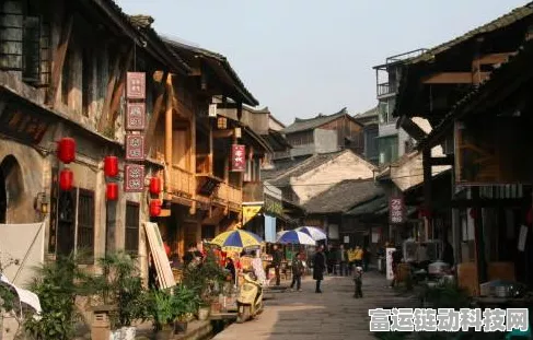 烟雨江湖深度探索，峨眉山宝藏位置全攻略，揭秘寻宝奇遇