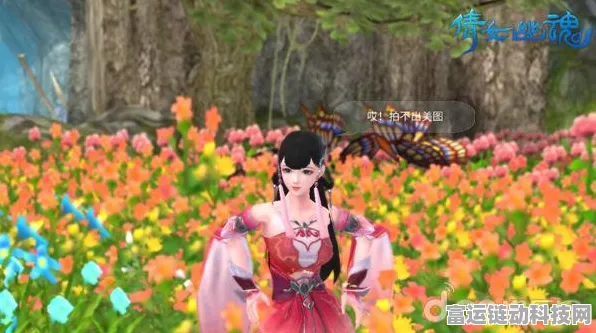 倩女幽魂手游探险全攻略，蒲家村全景地图深度解析与寻宝挑战