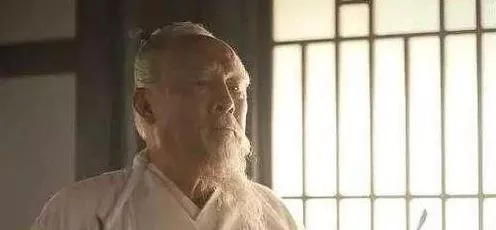 三国志战棋版华佗阵容搭配